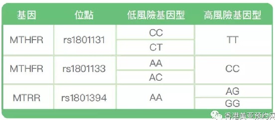 叶酸代谢检查有必要吗